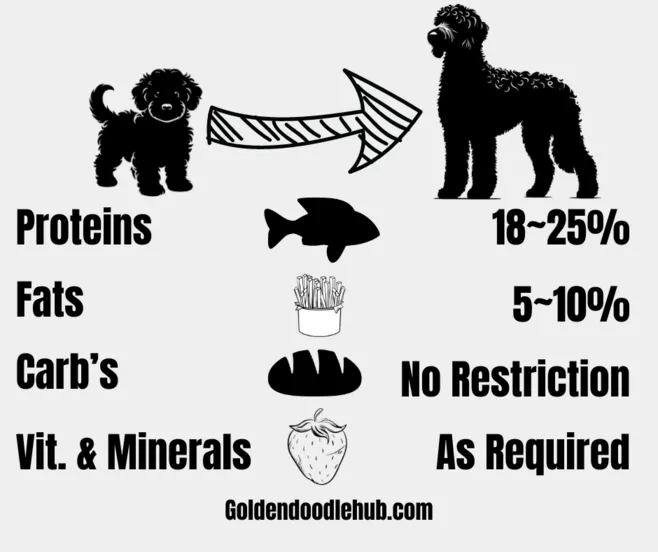 Best Food For Mini Goldendoodles Feeding Guide With Chart